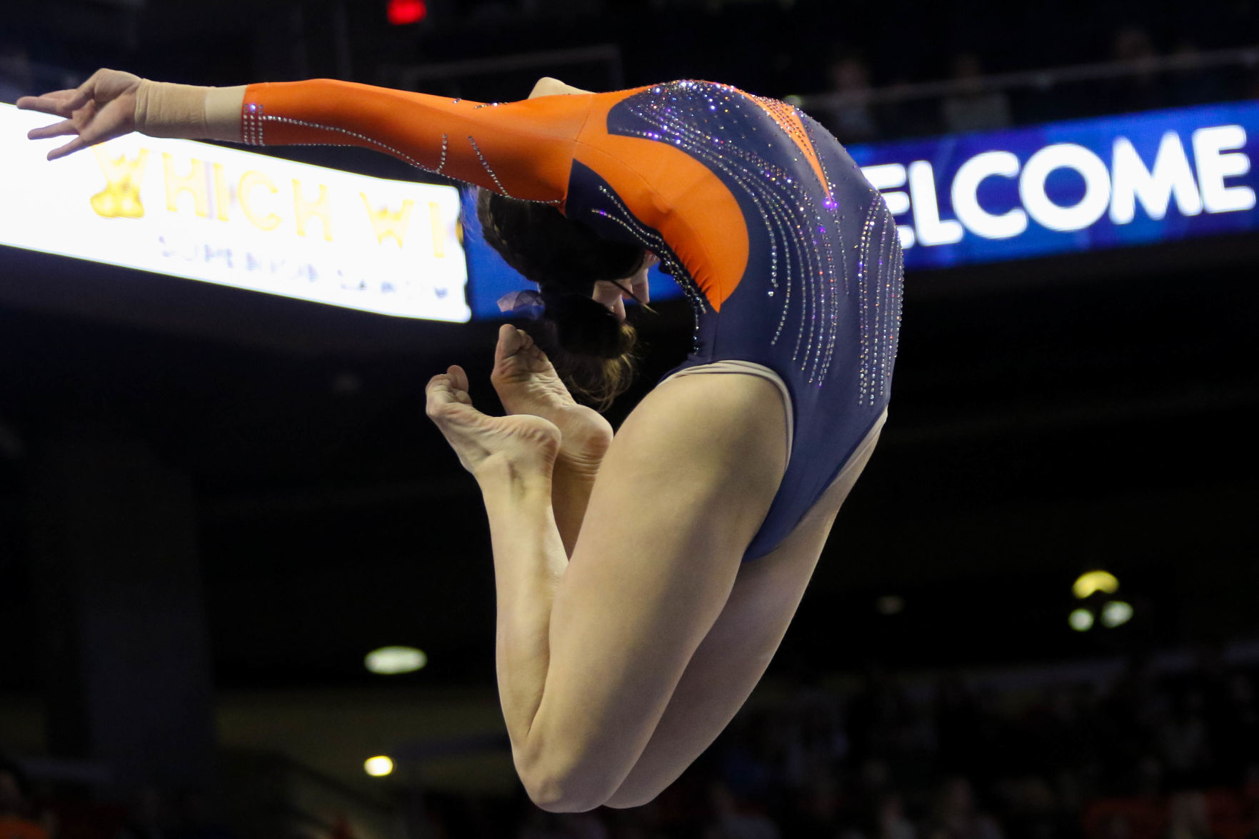 Auburn vs. Kentucky gymnastics